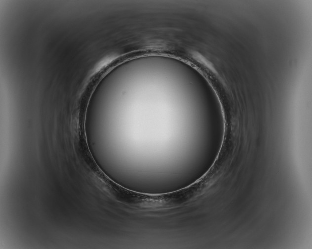 X0000086081315200703301119