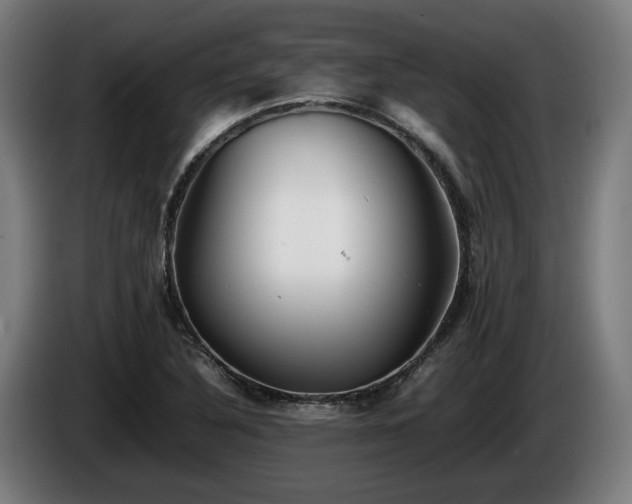 X0000086081316200703301119