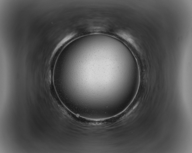 X0000086081317200703301119