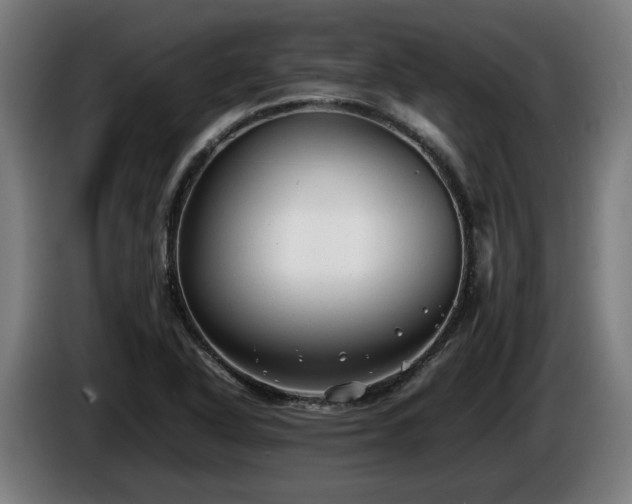 X0000086081318200703301119