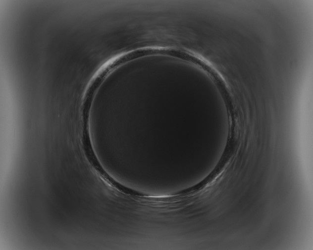 X0000086081319200703301119