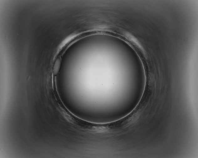 X0000086081320200703301119