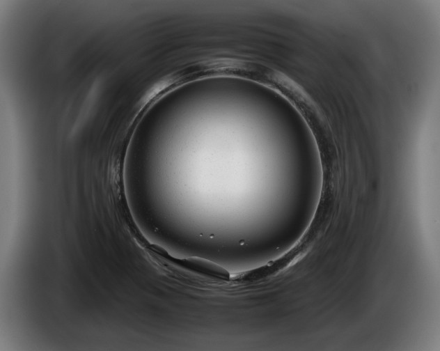 X0000086081321200703301119