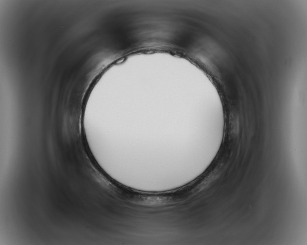 X0000086081322200703301119