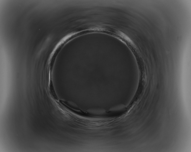 X0000086081323200703301119