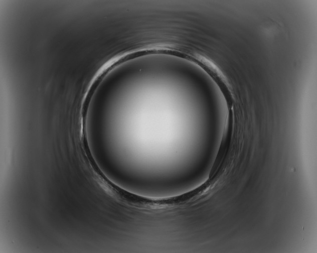 X0000086081324200703301119