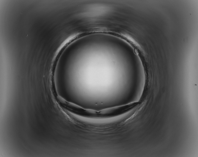 X0000086081325200703301119