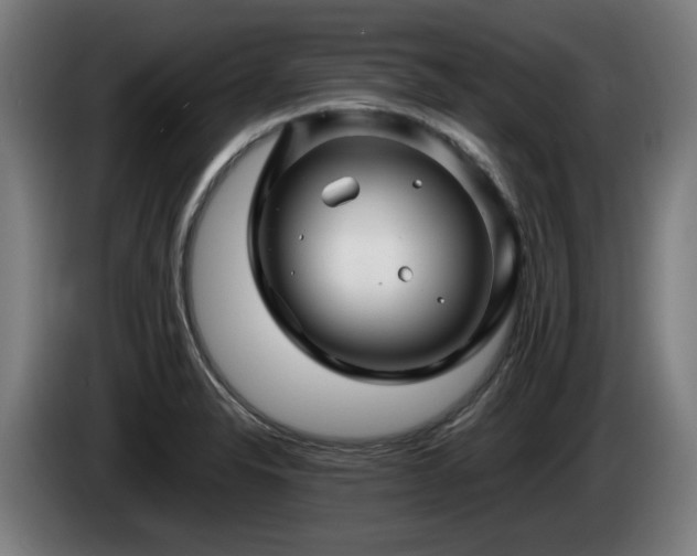 X0000086081326200703301119