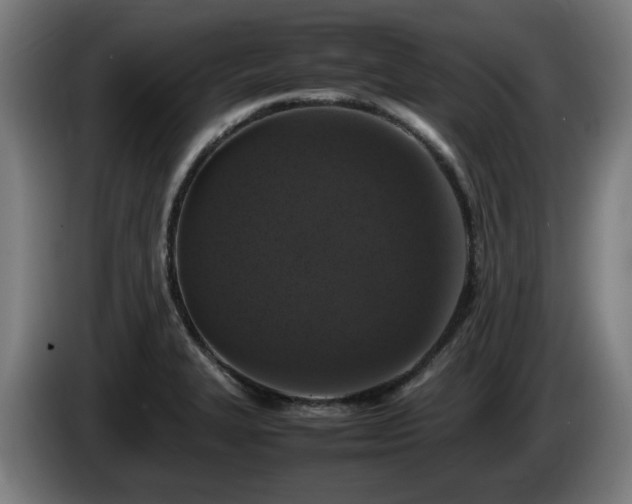 X0000086081327200703301119