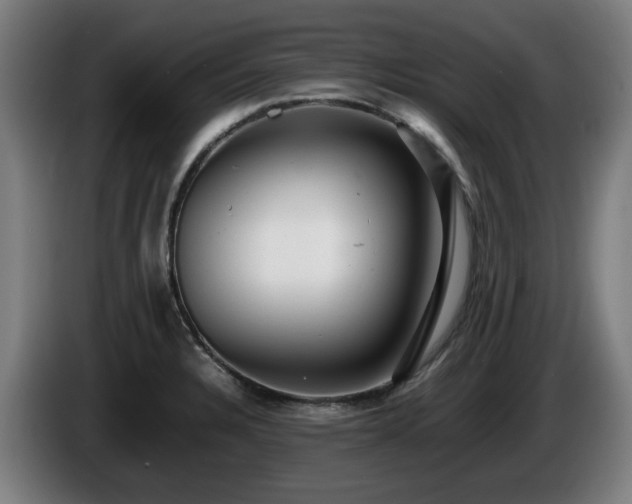 X0000086081328200703301119