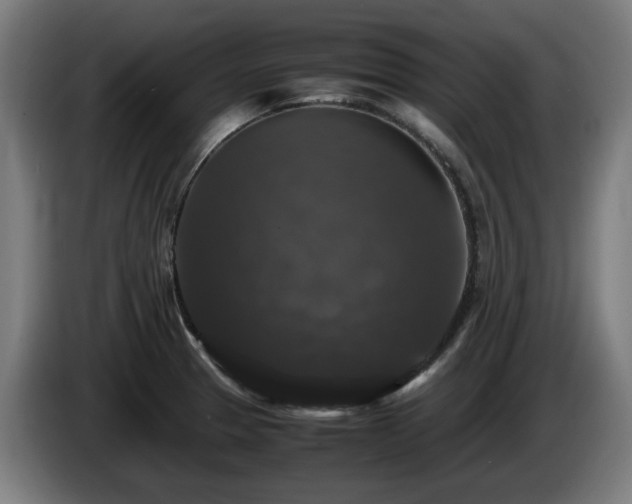 X0000086081329200703301119