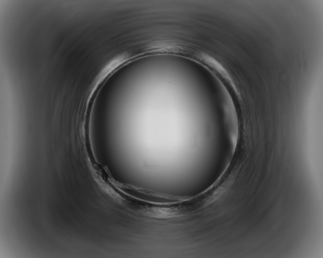 X0000086081330200703301119