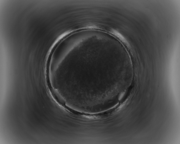 X0000086081331200703301119