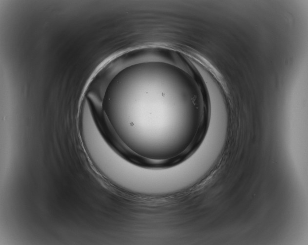 X0000086081332200703301119