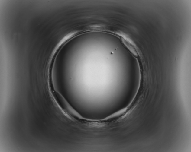 X0000086081333200703301119