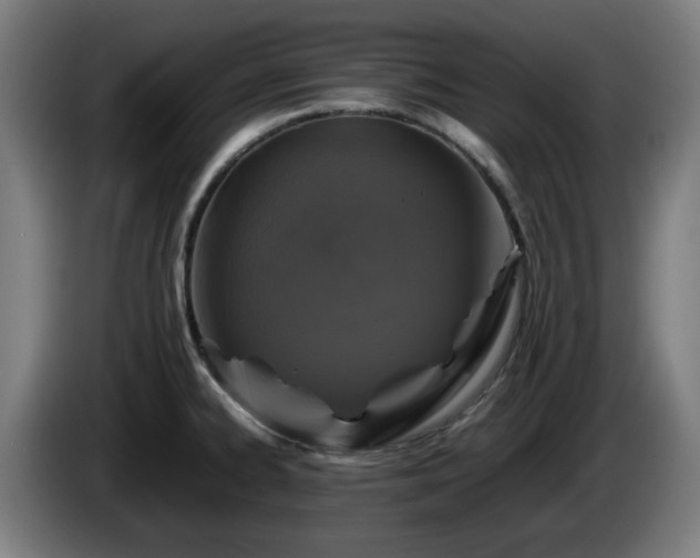 X0000086081334200703301120