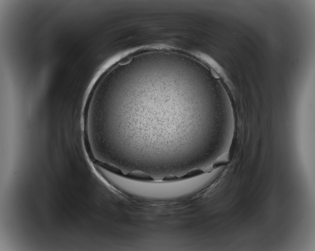 X0000086081335200703301120