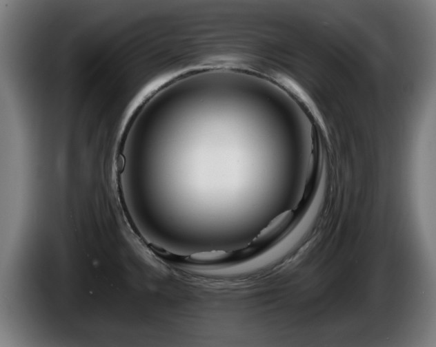 X0000086081336200703301120