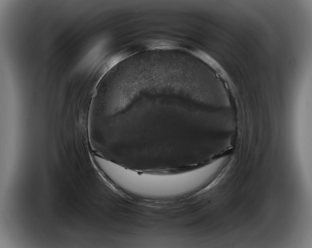 X0000086081337200703301120