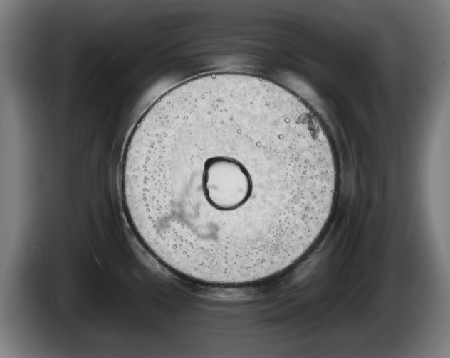 X0000086081338200703301120