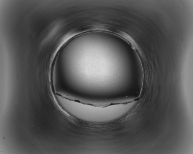 X0000086081339200703301120