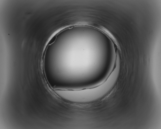 X0000086081340200703301120