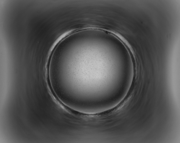 X0000086081341200703301120