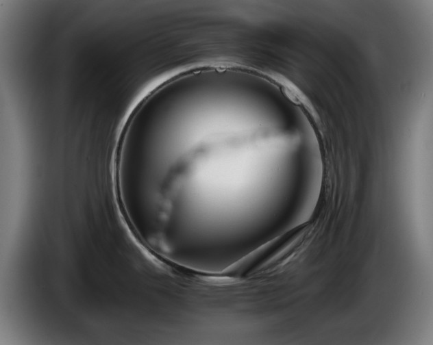 X0000086081343200703301120