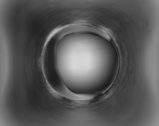 X0000086081344200703301120