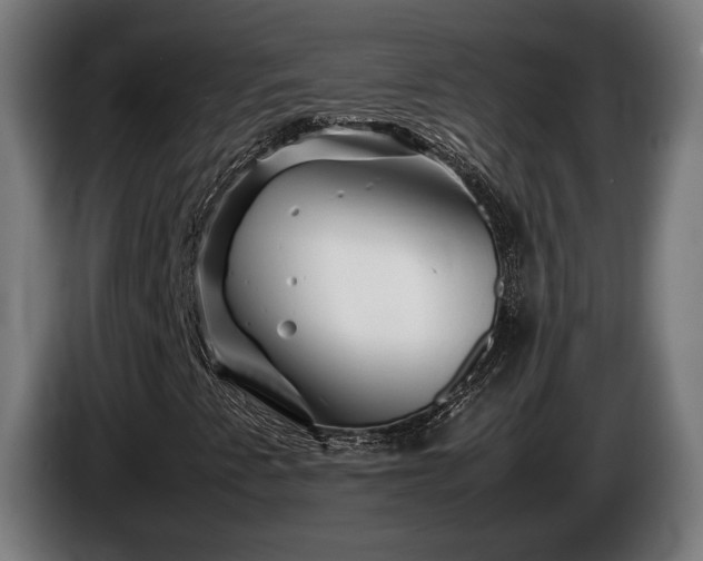 X0000086081345200703301119