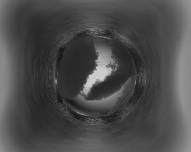 X0000086081346200703301119