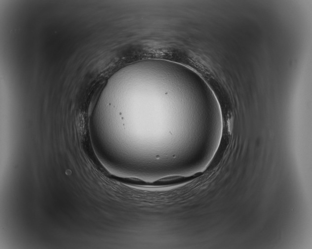 X0000086081347200703301119