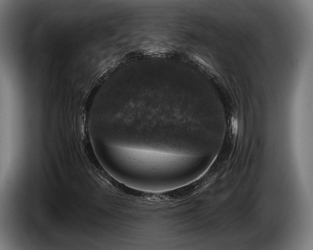 X0000086081348200703301119