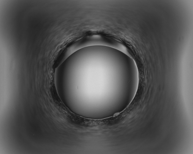 X0000086081349200703301119