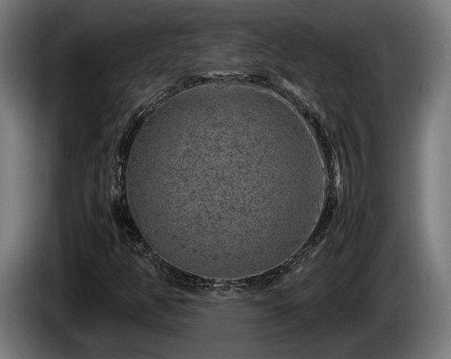 X0000086081350200703301119