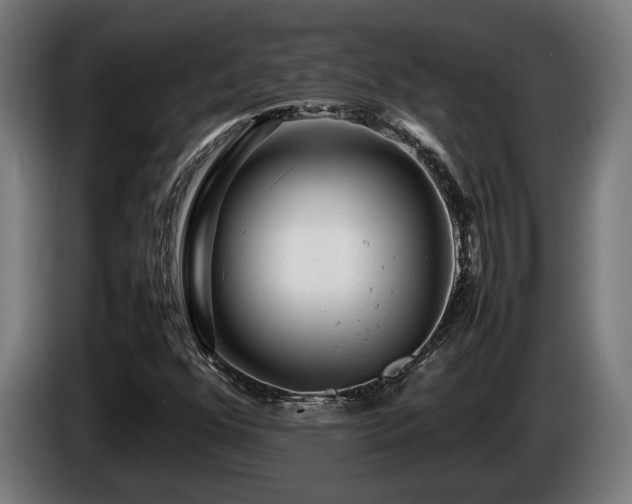 X0000086081352200703301119