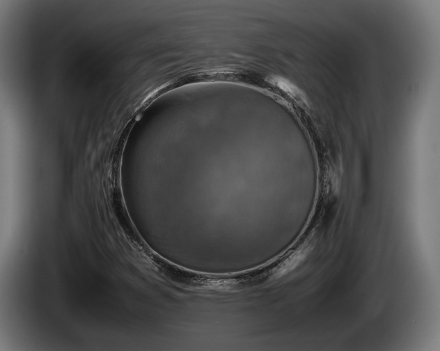 X0000086081353200703301119