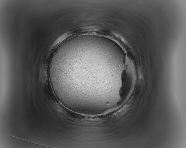 X0000086081354200703301119