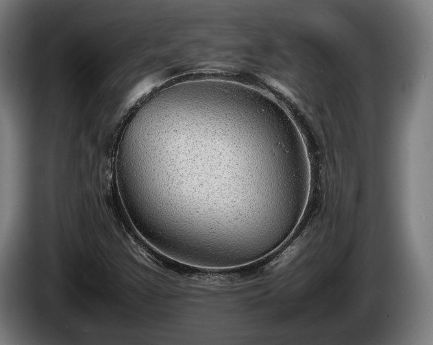 X0000086081355200703301119