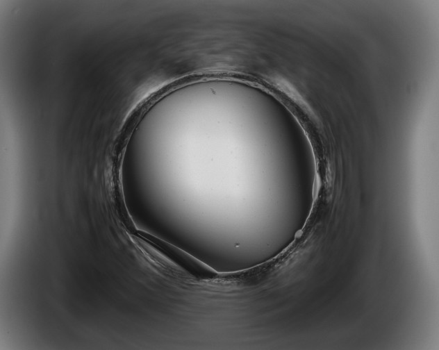 X0000086081356200703301119