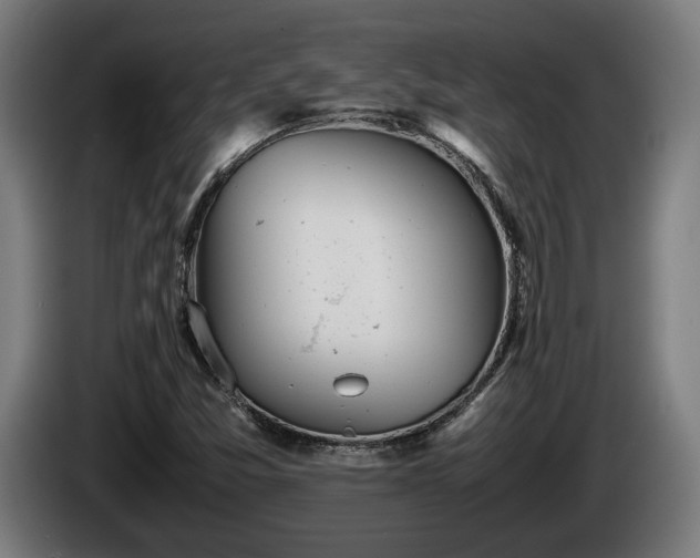 X0000086081357200703301119