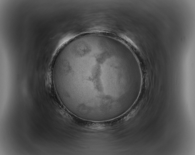 X0000086081358200703301119