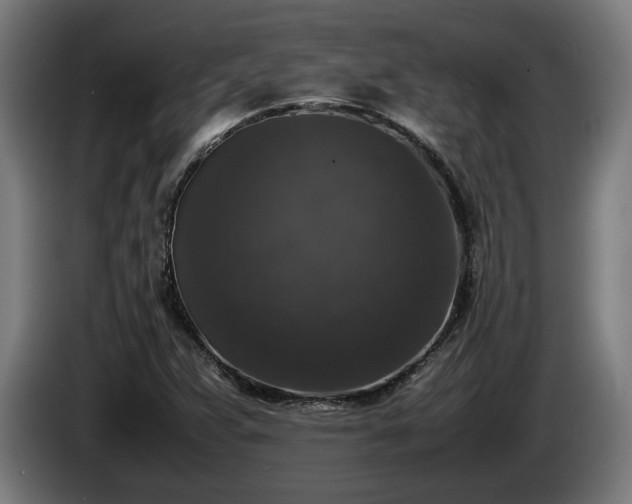 X0000086081359200703301119