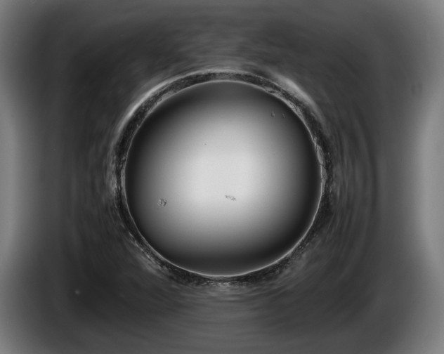 X0000086081360200703301119