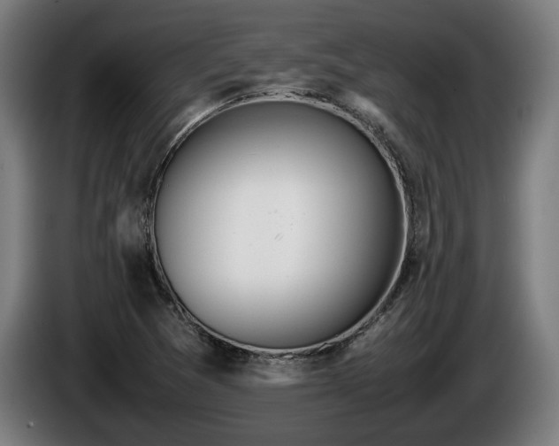 X0000086081361200703301119