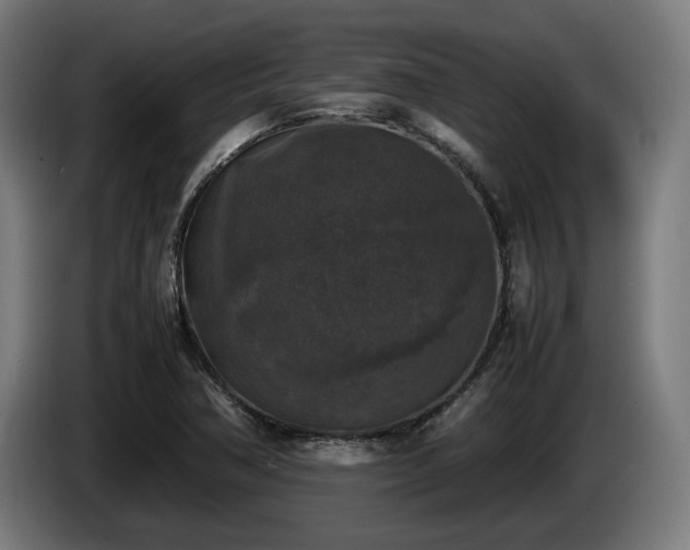 X0000086081362200703301119