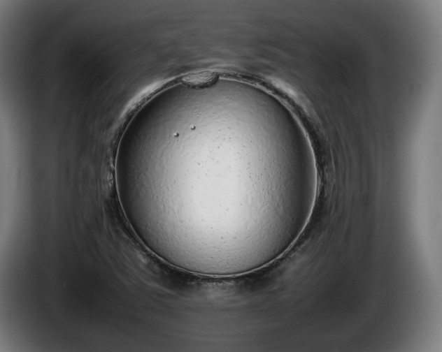 X0000086081363200703301119