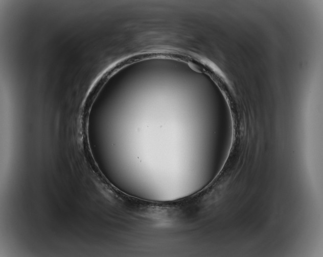 X0000086081364200703301119