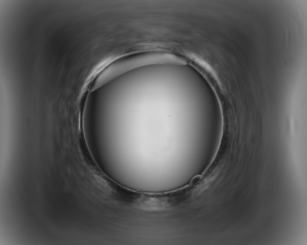 X0000086081365200703301119