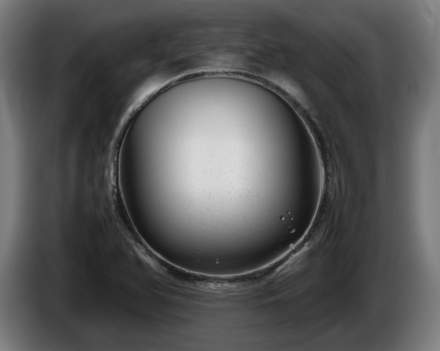 X0000086081366200703301119